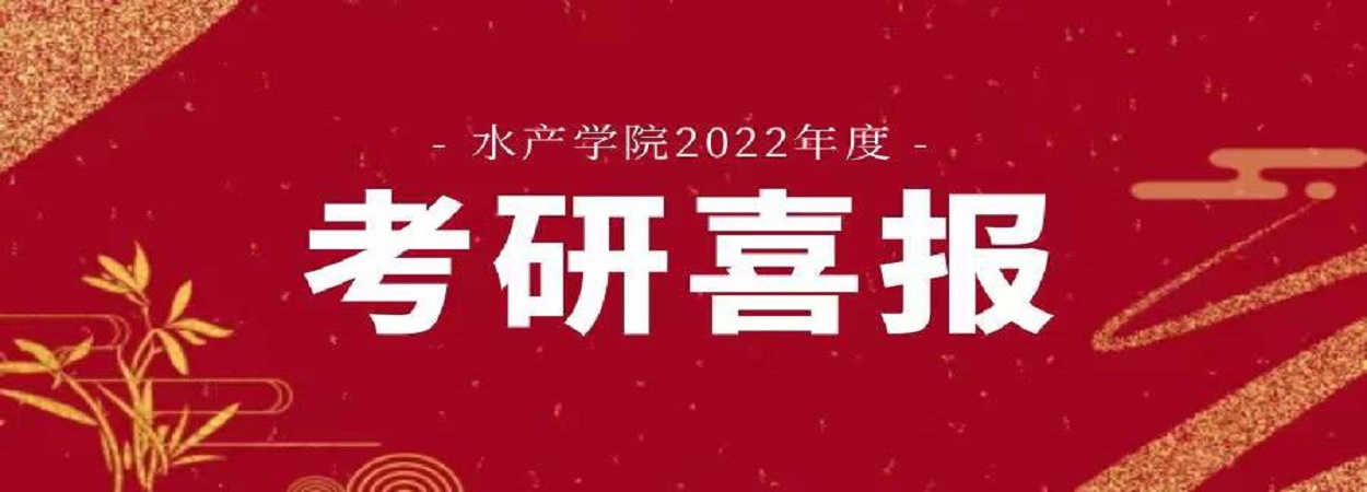 考研喜报